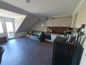 Neumühler Hof- Ferienwohnung 